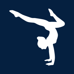 Gymnastics Rules – Learn how to play Gymnastics