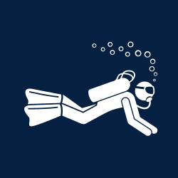 Diving Rules – Learn how to Dive